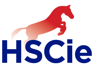 HSCie GmbH • Hübner Schlösser & Cie