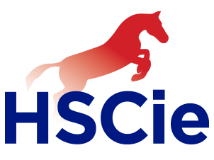 HSCie GmbH • Hübner Schlösser & Cie
